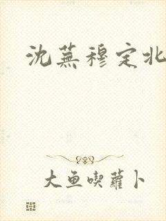 沈芜穆定北小说