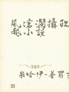 风沧澜摄政王穿越小说