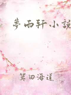 梦雨轩小说网