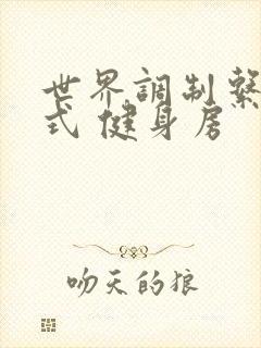 世界调制系统模式 健身房