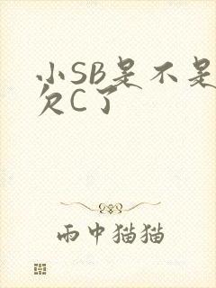 小SB是不是又欠C了