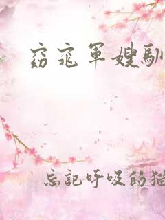 窈窕军嫂驯夫记