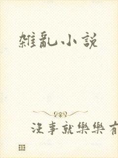 杂乱小说