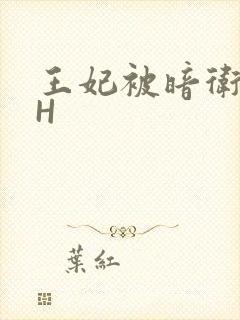 王妃被暗卫肉高H