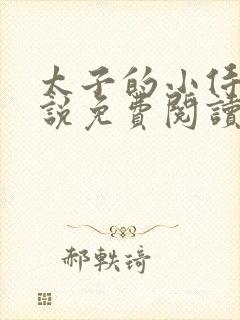 太子的小侍妾小说免费阅读全文