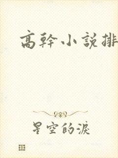 高干小说排行榜