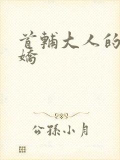 首辅大人的掌心娇