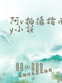 阿v拍摄指南by小说