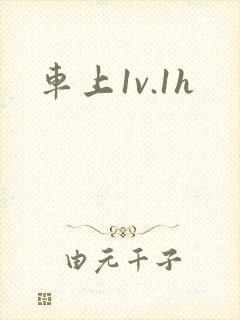 车上1v.1h