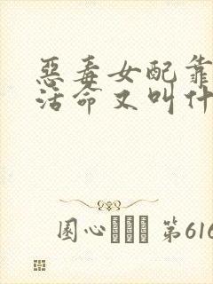 恶毒女配靠JY活命又叫什么