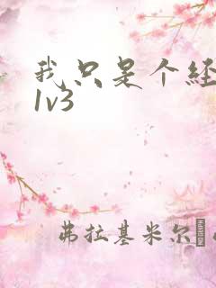 我只是个经纪人1v3