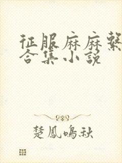 征服麻麻系列大合集小说