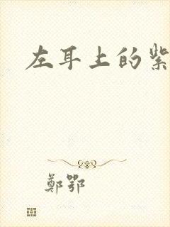 左耳上的紫水晶