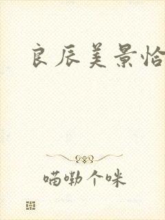 良辰美景恰似你