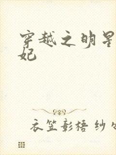 穿越之明星太子妃