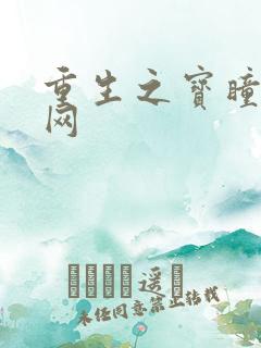 重生之宝瞳书书网