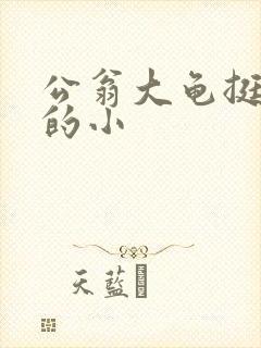 公翁大龟挺进我的小