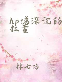hp伪深沉的萨拉查