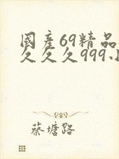 国产69精品久久久久999小说