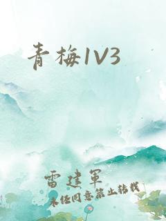 青梅1V3
