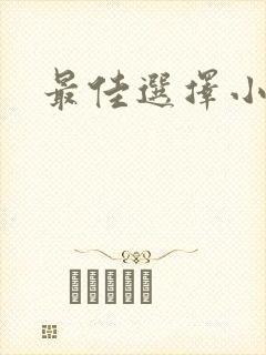 最佳选择小说