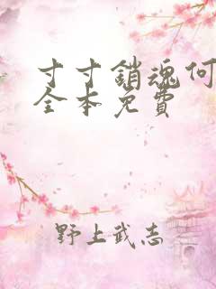 寸寸销魂何生祥全本免费