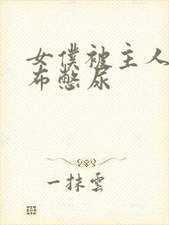 女仆被主人用胶布憋尿