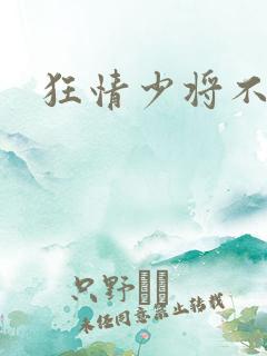 狂情少将不良妻