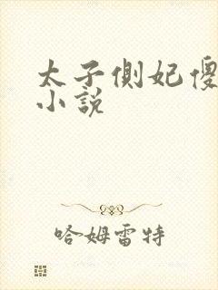 太子侧妃傻乎乎小说