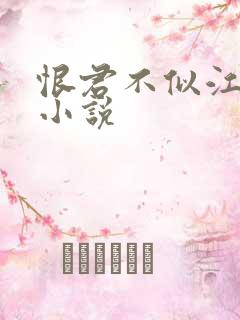 恨君不似江楼月小说