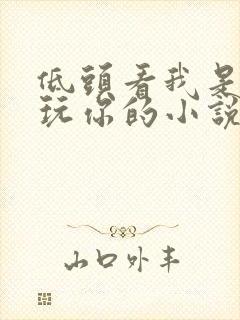 低头看我是怎么玩你的小说