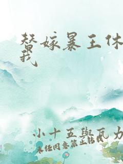 替嫁暴王休想碰我