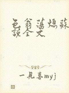 色翁荡熄苏钥小说全文