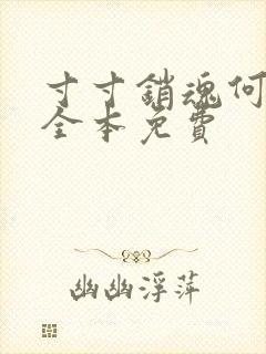 寸寸销魂何生祥全本免费