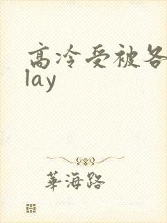 高冷受被各种play