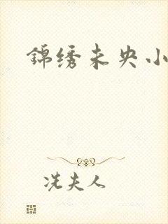 锦绣未央小说