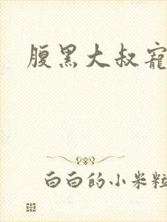 腹黑大叔宠小妻