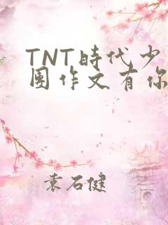 TNT时代少年团作文有你真好