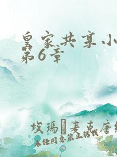 皇家共享小公主第6章