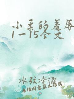 小柔的羞辱日记1一15全文