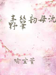 丰丝韵母沈蓉书野笔