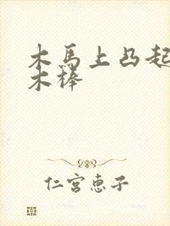 木马上凸起电动木棒