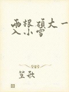 两根硕大一起挤入小雪