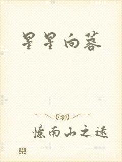 星星向蓉