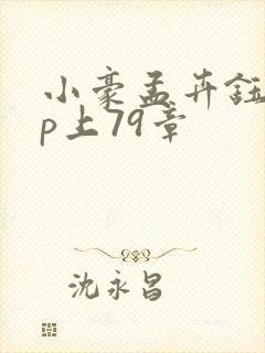 小豪孟卉钰慧三p上79章