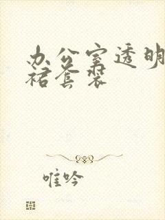 办公室透明半身裙套装