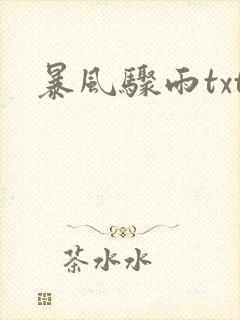 暴风骤雨txt