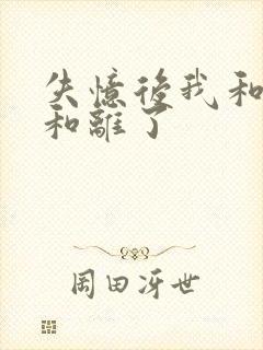 失忆后我和王爷和离了