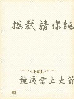 总裁请你纯洁点