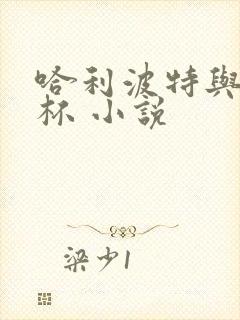 哈利波特与火焰杯 小说